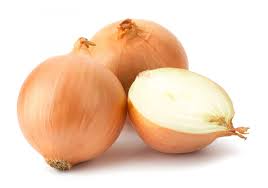Oignon espagnol