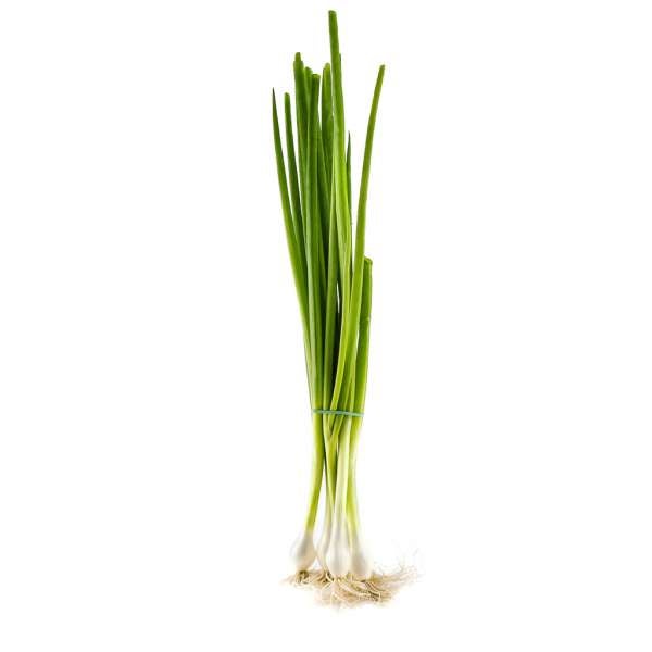 Échalote / oignons verts